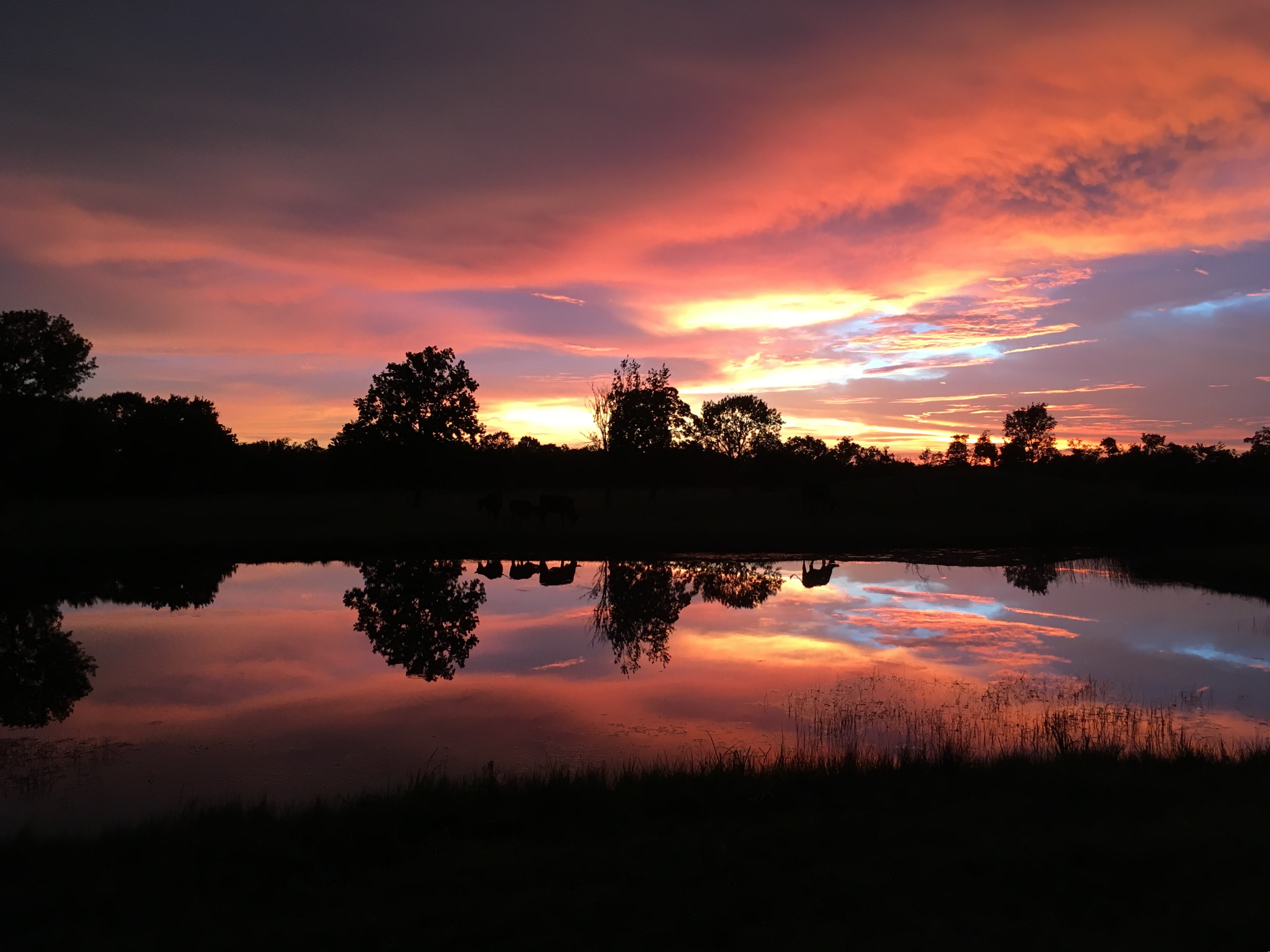 Sundown over the pond
